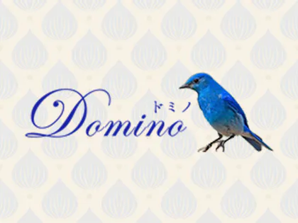 Domino（ドミノ）自由が丘店 メンズエステ求人